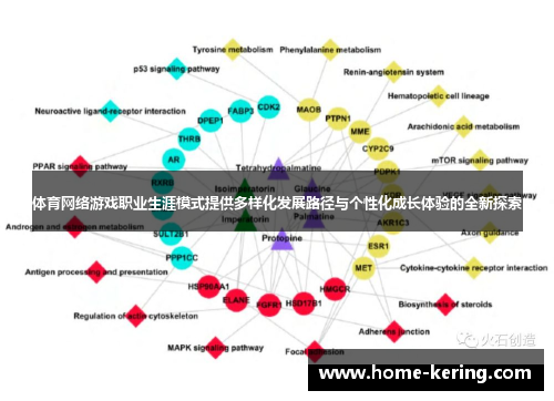 体育网络游戏职业生涯模式提供多样化发展路径与个性化成长体验的全新探索