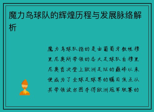 魔力鸟球队的辉煌历程与发展脉络解析