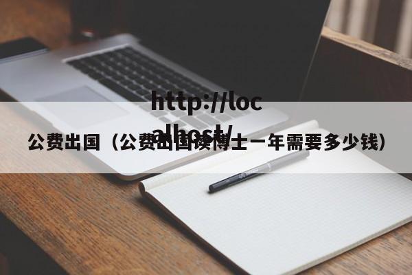 公费出国（公费出国读博士一年需要多少钱）